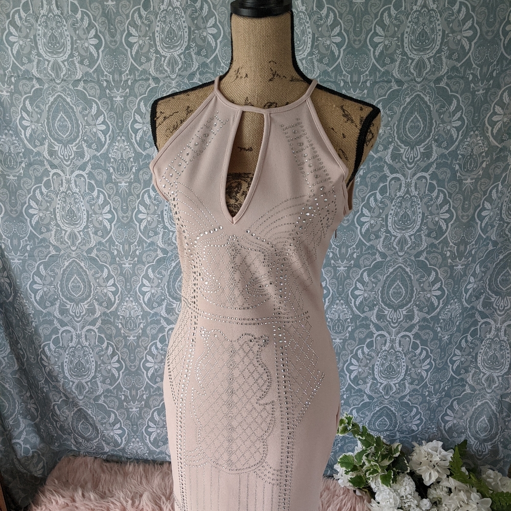 Pink Iris dress